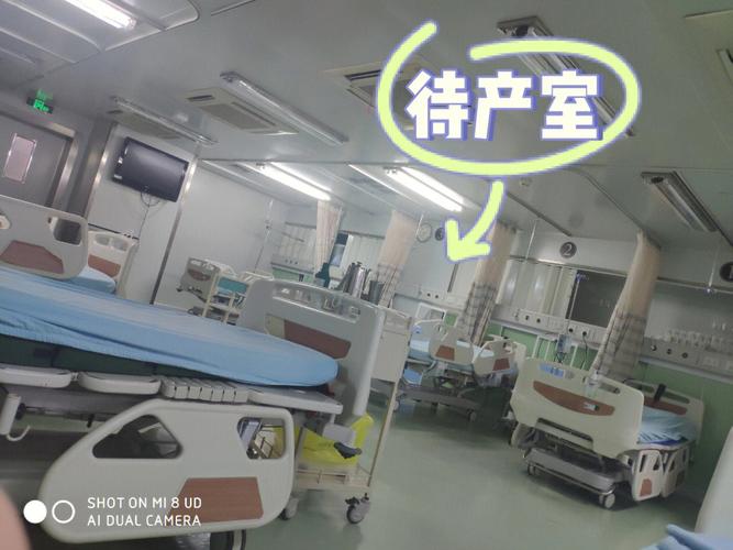 代生孩子哪里便宜(代生孩子哪里便宜?最划算的选择在哪里?)