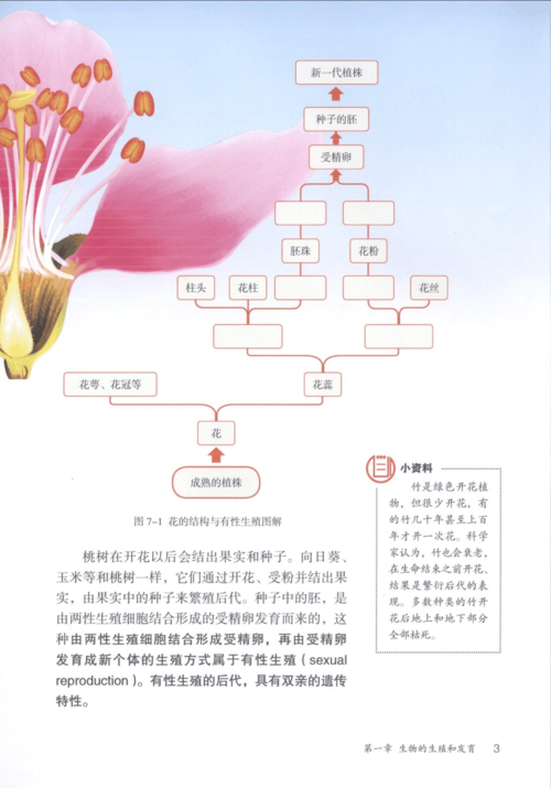 代生出的孩子像谁【代生出的孩子像谁:寻找生物学家的基因融合之谜】